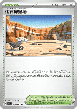 Fossil Excavation Site