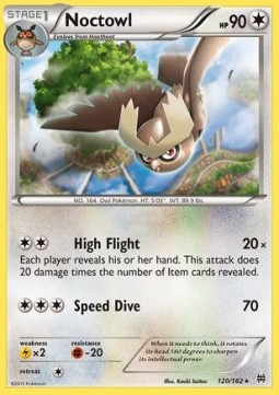 Noctowl