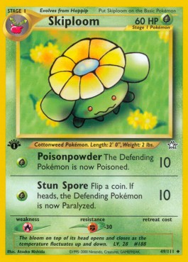 Skiploom