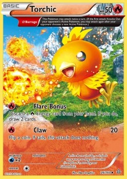 Torchic