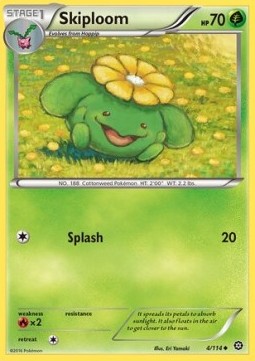 Skiploom