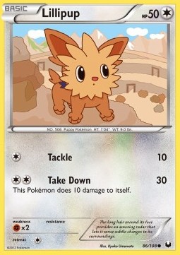 Lillipup