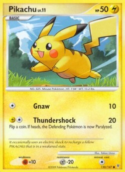 Pikachu Lv.11