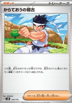 Black Belt's Training
