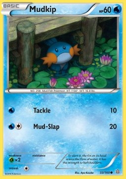 Mudkip