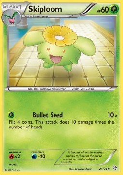 Skiploom