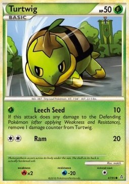 Turtwig