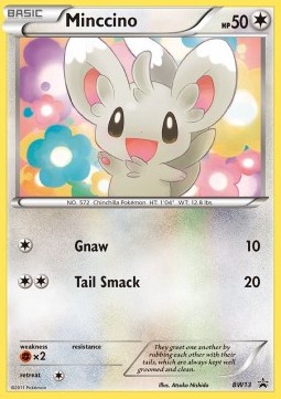 Minccino