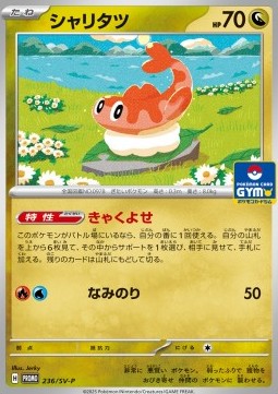 Tatsugiri (SV-P 236) Scarlet & Violet Promos