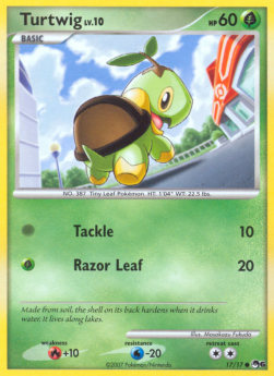 Turtwig Lv.10