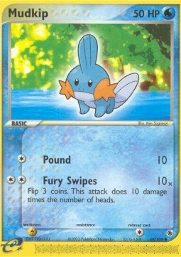 Mudkip